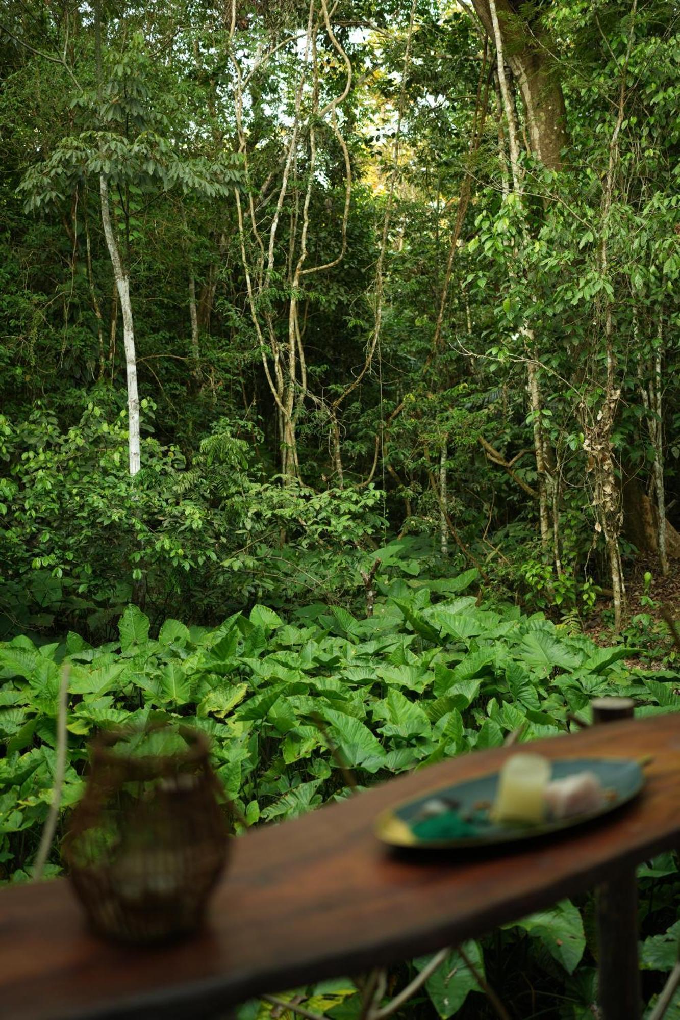 Awaken Amazonian Healing Resort All Inclusive Iquitos Exterior foto